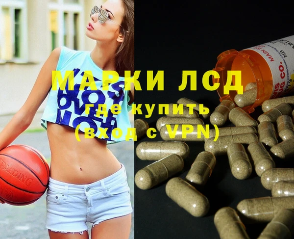 spice Верея