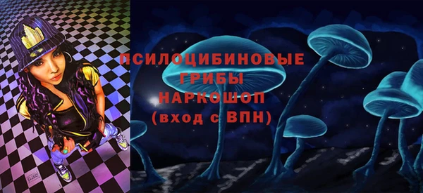 spice Верея