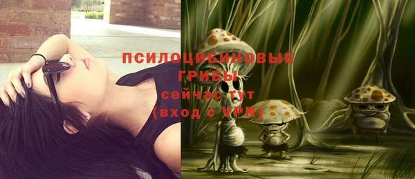 ПСИЛОЦИБИНОВЫЕ ГРИБЫ Снежногорск