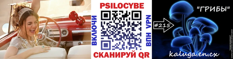 Галлюциногенные грибы прущие грибы  Плавск 